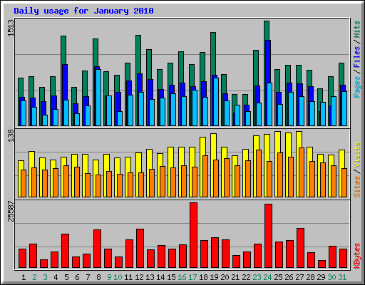 Daily usage for January 2010