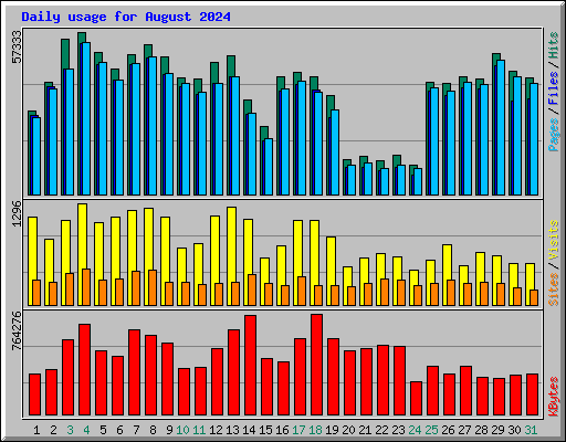 Daily usage for August 2024