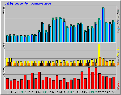 Daily usage for January 2025