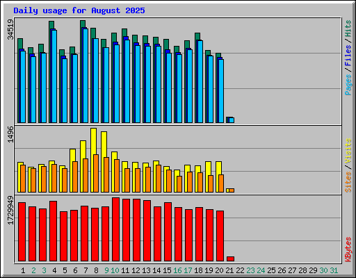 Daily usage for August 2025