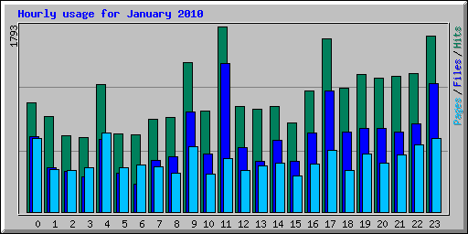 Hourly usage for January 2010