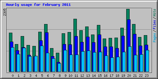 Hourly usage for February 2011