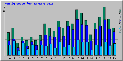 Hourly usage for January 2013