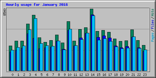 Hourly usage for January 2016