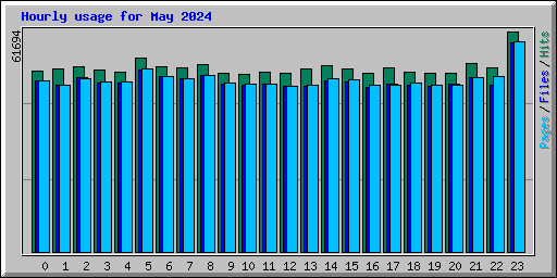 Hourly usage for May 2024