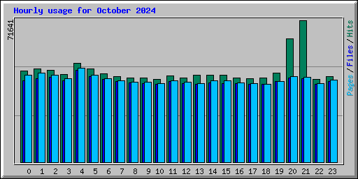 Hourly usage for October 2024