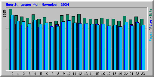 Hourly usage for November 2024