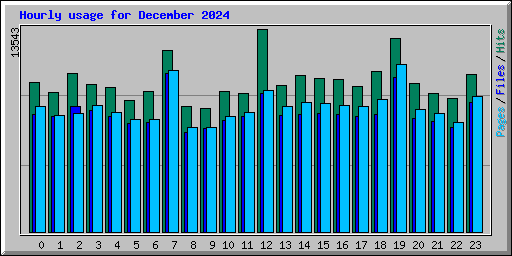 Hourly usage for December 2024