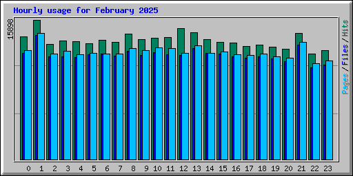 Hourly usage for February 2025