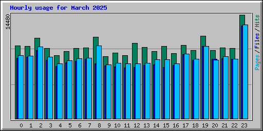 Hourly usage for March 2025