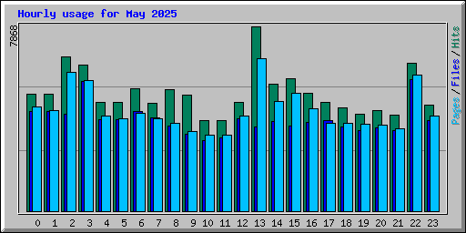 Hourly usage for May 2025