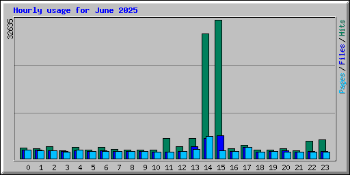 Hourly usage for June 2025