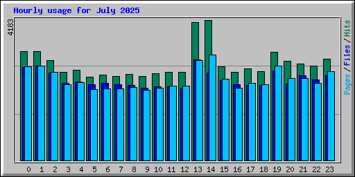 Hourly usage for July 2025