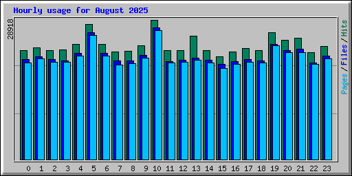 Hourly usage for August 2025