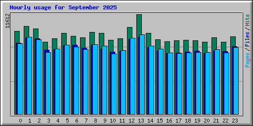 Hourly usage for September 2025
