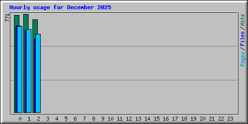 Hourly usage for December 2025