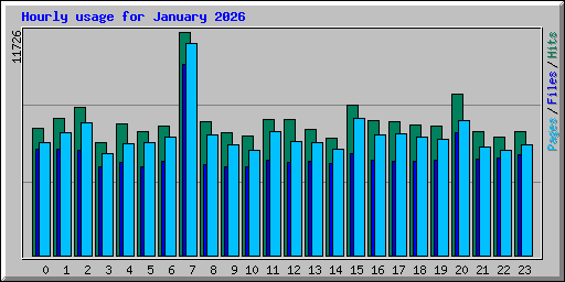 Hourly usage for January 2026