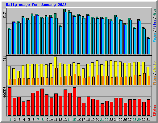 Daily usage for January 2023
