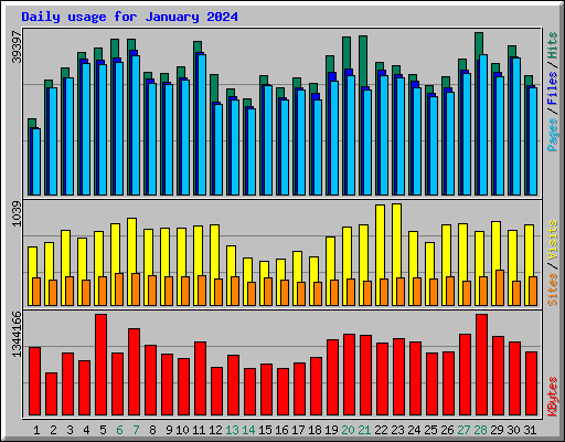 Daily usage for January 2024