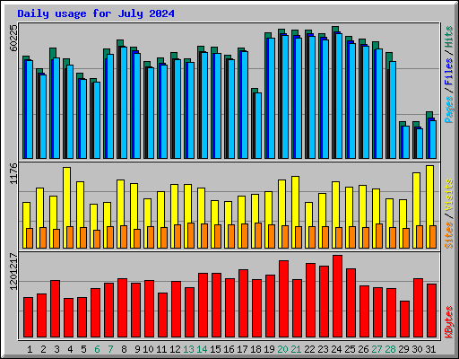 Daily usage for July 2024