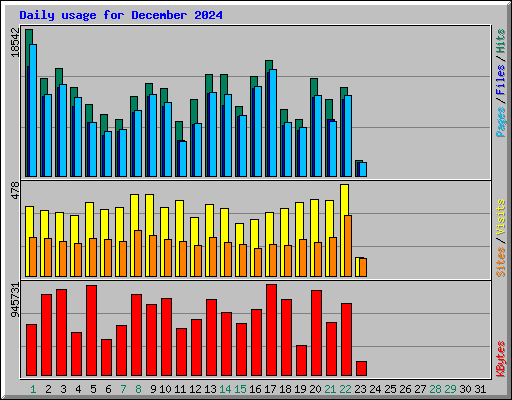 Daily usage for December 2024