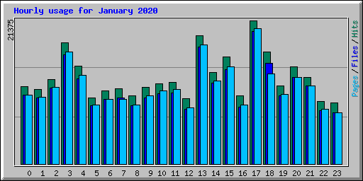Hourly usage for January 2020