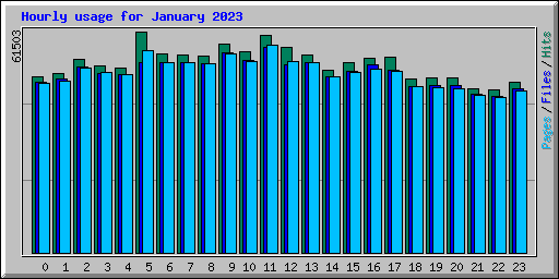 Hourly usage for January 2023
