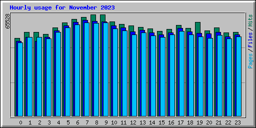 Hourly usage for November 2023