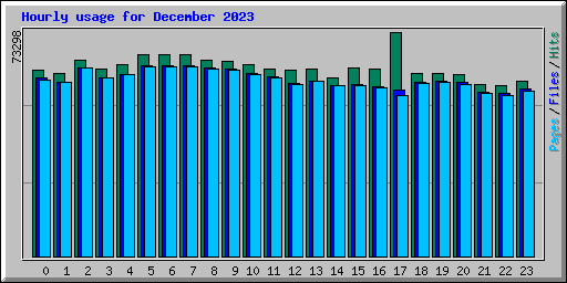 Hourly usage for December 2023