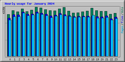 Hourly usage for January 2024