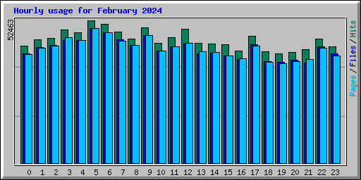 Hourly usage for February 2024