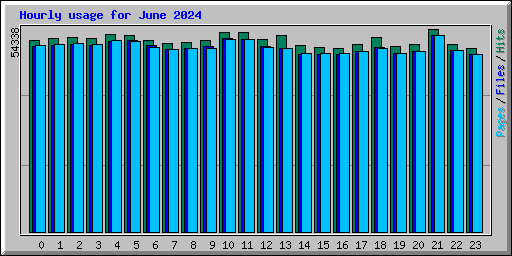 Hourly usage for June 2024