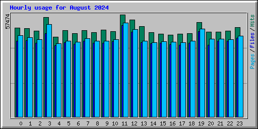 Hourly usage for August 2024