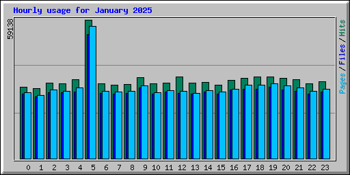 Hourly usage for January 2025