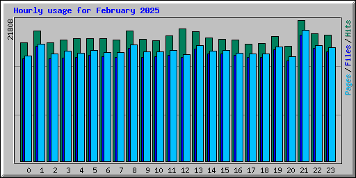 Hourly usage for February 2025