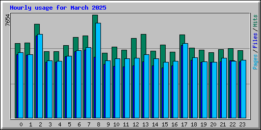 Hourly usage for March 2025