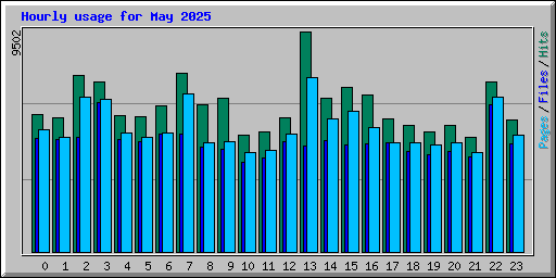 Hourly usage for May 2025