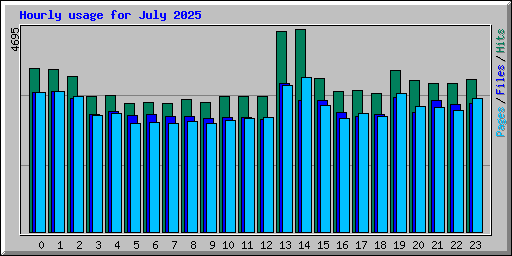 Hourly usage for July 2025