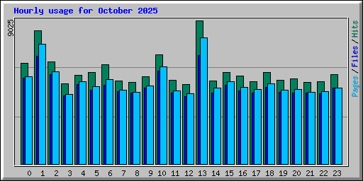 Hourly usage for October 2025