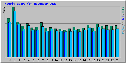 Hourly usage for November 2025