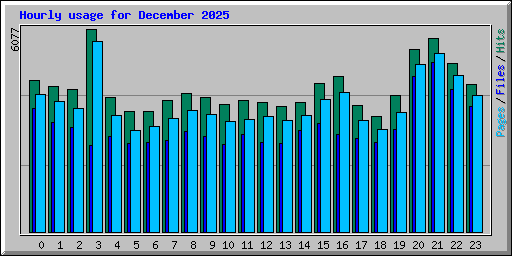 Hourly usage for December 2025
