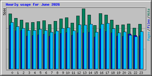 Hourly usage for June 2026